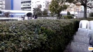 二零二三七月十二_小熊维尼l